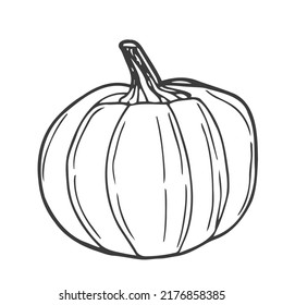 Vector hand drawn pumpkin outline doodle icon. Food sketch illustration for print, web, mobile and infographics isolated on white background.