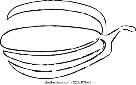 Vector hand drawn pumpkin outline doodle icon. Food sketch illustration for print, web, mobile and infographics isolated on white background.