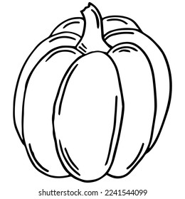 Vector hand drawn pumpkin outline doodle icon. Food sketch illustration for print, web, mobile and infographics isolated on white background.