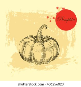 vector hand drawn pumpkin silhouette. pumpkin sketch vector