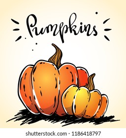 Vector hand drawn pumpkins image with a lettering inscription. Food sketch illustration for print, web, mobile and infographics isolated on white background