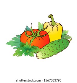 vector hand drawn realistic farm vegetables composition isolated on white. Tomato, bell pepper, cucumber with parsley. colorful veggies icon collection. vintage greens sketch for logo, market, package