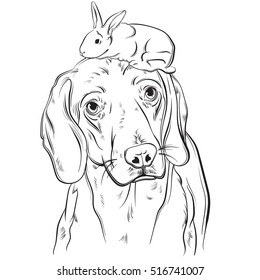 Vector hand drawn realistic illustration of beagle with rabbit. Portrait of sad dog with sorry eyes. Template for card poster banner and print for t-shirt.