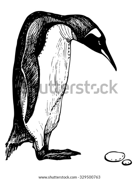 Vector Hand Drawn Realistic King Penguin Stock Vector Royalty Free 329500763 Shutterstock