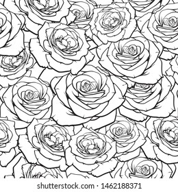 Vector hand drawn repeat pattern with many roses, vector illustration of beautiful background with many flowers