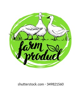 Vector hand drawn retro logo. Handwritten header. Brushstroke with rough edges. Farm product. Ink brush lettering. Geese.