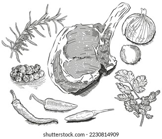 vector hand drawn ribs with rosemary, onion, pepper, parsley. realistic food sketch