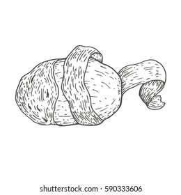 Vector hand drawn ripe peeled potatoes. Natural eco food engraved vintage style illustration. Isolate of white background.