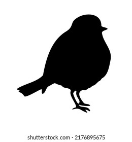 Vector hand drawn robin redbreast bird silhouette isolated on white background