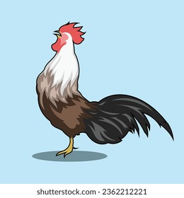 Vector hand drawn rooster cartoon illustration