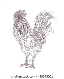 vector hand drawn rooster isolated on white, illustration for coloring