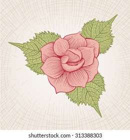 Vector hand drawn rose flower. Global color CMYK. 