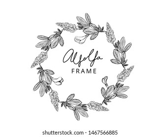 Vector hand drawn round frame with alfalfa plant, flowers and leaves. Black and white drawing.