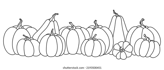 Vector hand drawn row of a pumpkins, outline doodle image. Food sketch illustration for print, web, mobile and infographics isolated on white background