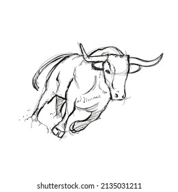 Vector of a hand drawn running bull on a white background. A useful and scalable bull vector. Sketch draw bull.