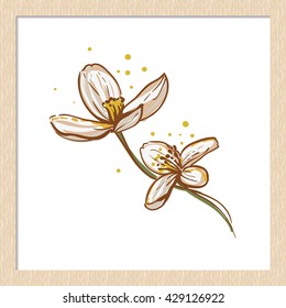 Vector hand drawn rustic apple flowers. Cute artistic decoration for bakery menu background, market, shop, cafe design in watercolor style. Isolated art on white background.