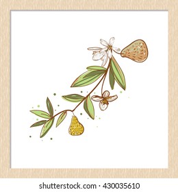 Vector hand drawn rustic pear flowers 