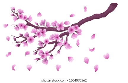 Vector hand drawn sakura blossom branch with flowers and falling petals isolated on white background. Stock illustration. Japanese romatic symbol - spring blossom cherry branch. Watercolor imitation.