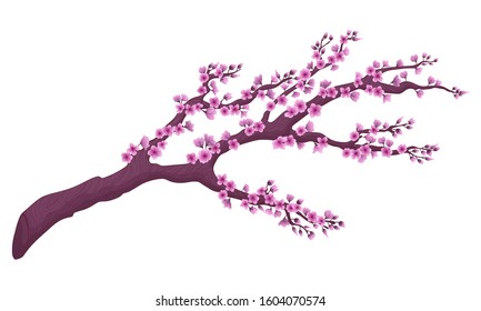 Vector hand drawn sakura blossom branch with flowers isolated on white background. Stock illustration. Japanese romatic symbol - spring blossom cherry branch. Watercolor imitation.