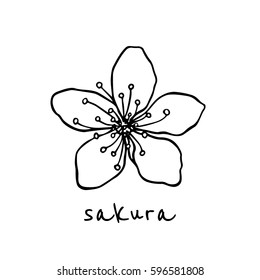 Vector hand drawn sakura flower. Beautiful floral design elements, ink drawing, graceful lines.