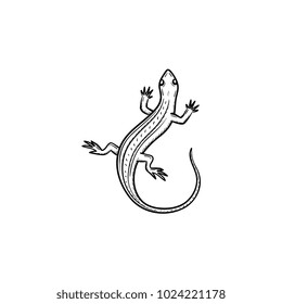 Vector hand drawn Salamander outline doodle icon. Salamander sketch illustration for print, web, mobile and infographics isolated on white background.