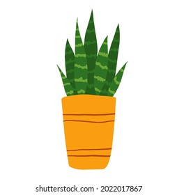 Pintura de sansevieria dibujada a mano por vectores aislada en fondo blanco. Flor de sansevieria verde en una ilustración de la olla. Clipart de la planta de la casa.