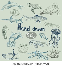 Vector hand drawn sea animal set