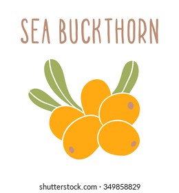 Vector hand drawn sea buckthorn illustration