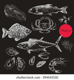 vector hand drawn sea food elements - shrimp, crab, lobster, salmon, oyster, mussel, tuna, trout, carp. mediterranean cuisine seafood sketch