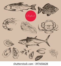 vector hand drawn sea food elements - trout, tuna, carp, salmon, oyster, mussel, crab, lobster. ink drawing fish template for corporate identity