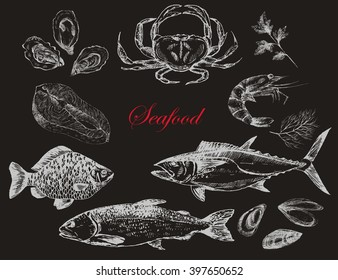 vector hand drawn sea food elements - trout, tuna, carp, salmon, oyster, mussel, crab, lobster. ink drawing fish template for corporate identity