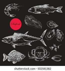 vector hand drawn sea food elements - trout, tuna, carp, salmon, oyster, mussel, crab, lobster. ink drawing fish template for corporate identity. flat lay food illustration