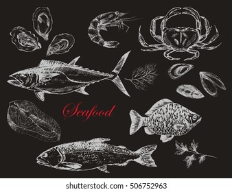 vector hand drawn sea food elements - trout, tuna, carp, salmon, oyster, mussel, crab, lobster. ink drawing fish template for corporate identity. flat lay food illustration
