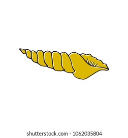 Vector hand drawn sea shell. Isolated individual object. Clipart for greeting cards, weddings, stationery, surface design, scrapbooking.