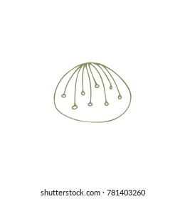 Vector hand drawn sea shell. Isolated individual object. Clipart for greeting cards, weddings, stationery, surface design, scrapbooking. Part of a large sea collection.