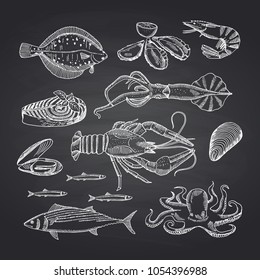 Vector hand drawn seafood elements on black chalkboard set. Illustration of seafood sketch, oyster and shrimp, crab and lobster