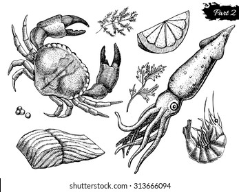 Vector Hand Drawn Seafood Set. Vintage Illustration