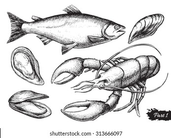 Vector hand drawn seafood set. Vintage illustration