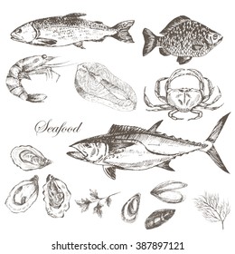 vector hand drawn seafood set - shrimp, crab, lobster, salmon, oyster, mussel? tuna, trout, carp. mediterranean cuisine seafood sketch