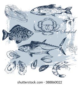 vector hand drawn seafood set - shrimp, crab, lobster, salmon, oyster, mussel, tuna, trout, carp. mediterranean cuisine seafood sketch