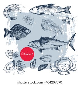 vector hand drawn seafood set - shrimp, crab, lobster, salmon, oyster, mussel, tuna, trout, carp. mediterranean cuisine seafood sketch