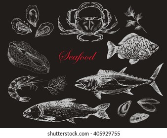 vector hand drawn seafood set - shrimp, crab, lobster, salmon, oyster, mussel, tuna, trout, carp. Mediterranean cuisine seafood sketch