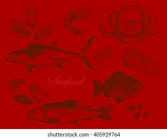 vector hand drawn seafood set - shrimp, crab, lobster, salmon, oyster, mussel, tuna, trout, carp. Mediterranean cuisine seafood sketch