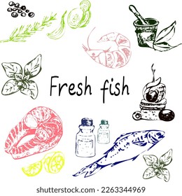  Vector hand drawn seafood and spices set in sketch style. Animal sea products vintage sketch.