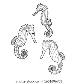Vector hand drawn seahorse. Underwater animal. Cartoon style. Element for coloring book.