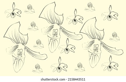 patrón floral sin fisuras dibujado a mano vectorial con flores orquídeas