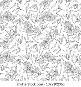 Vector hand drawn seamless olive pattern. Olive branch background. Olive decorative texture - Vector