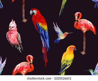 Vector hand drawn seamless  pattern background of beautiful exotic tropical birds. Isolated on white background.