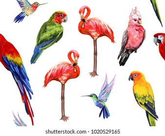 Vector hand drawn seamless  pattern background of beautiful exotic tropical birds. Isolated on white background.