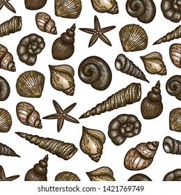 Vector hand drawn seamless pattern of seashells in the engraving vintage style isolated on white background.